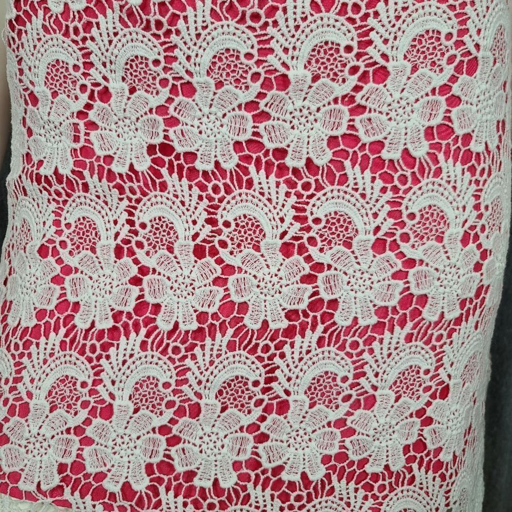 White Lace With Pink Lining Skirt - image 4